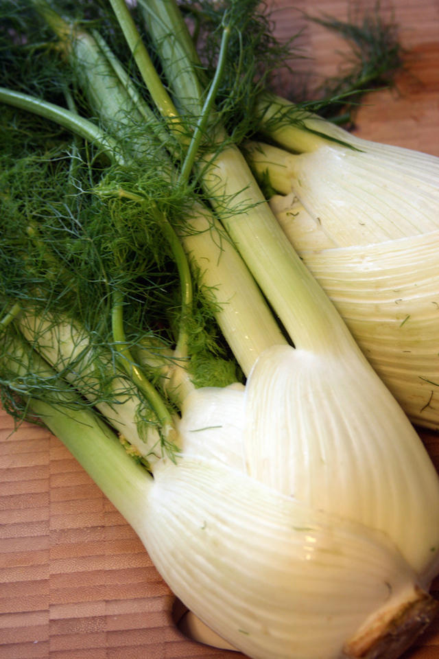 fennel