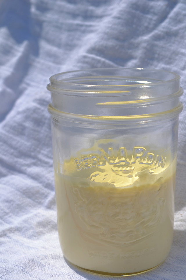 Homemade Mayonnaise in Mason Jar