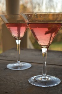 Cosmopolitans - What I Will Drink after This Baby Shows Up - Talia Bunting